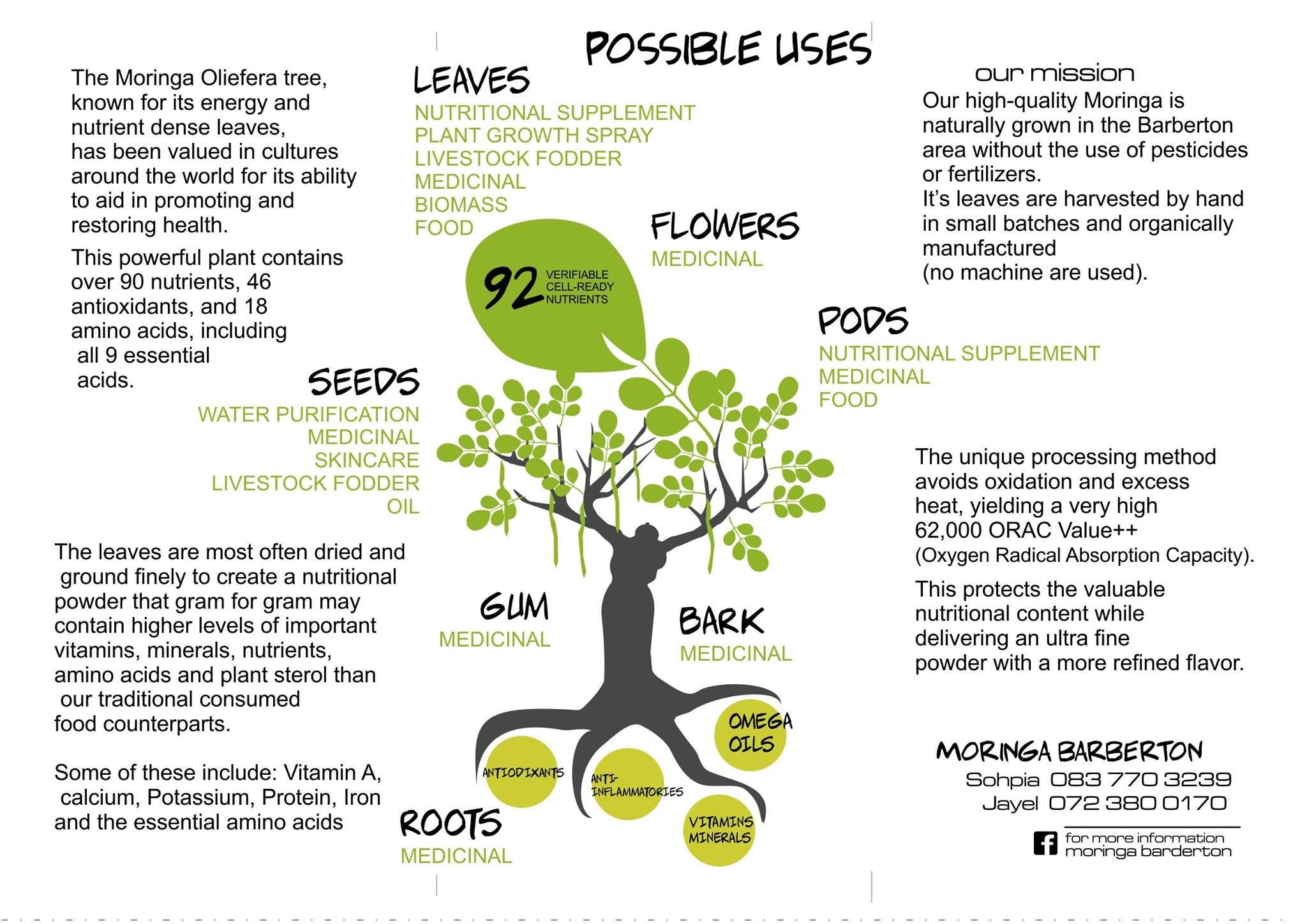 Flyer 1